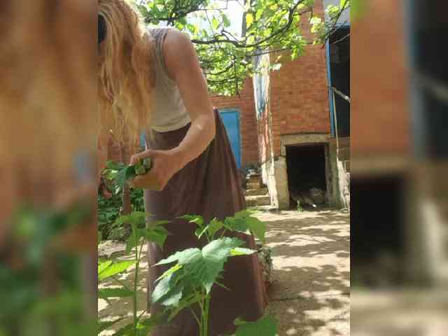 SophieSummer