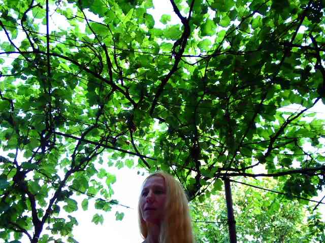 SophieSummer webcam