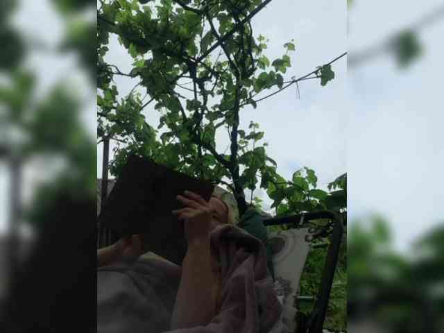 SophieSummer webcam