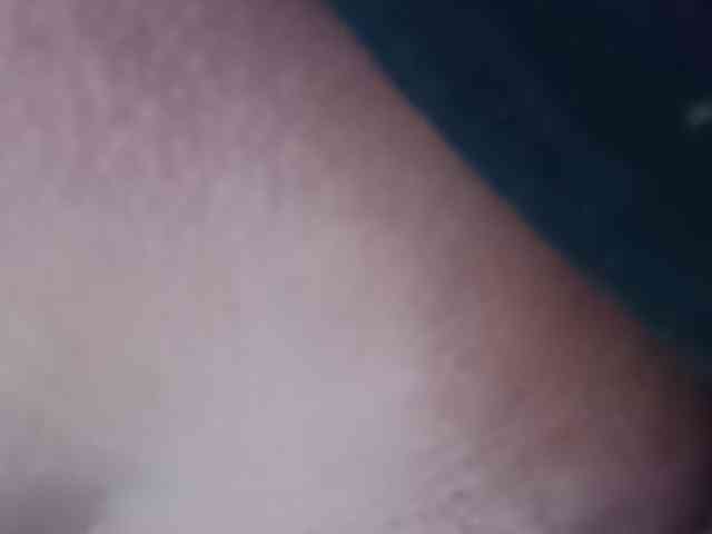 samanthasquirt1212 webcam