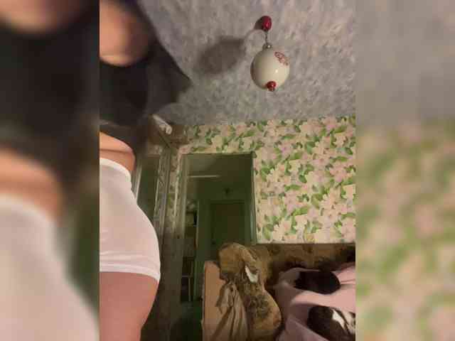 Модель: little-devil