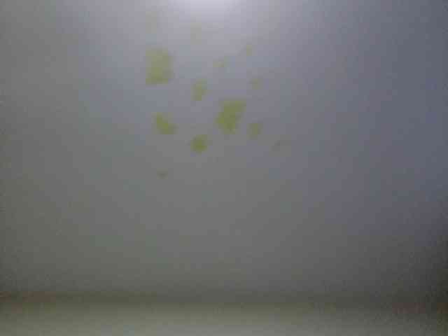 julietamanson1 webcam