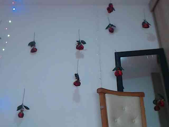 bigboobsrose1 webcam