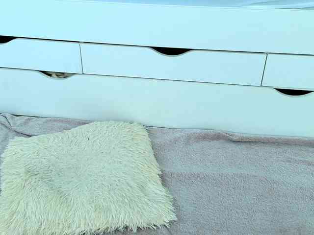 Emma-Donovani webcam