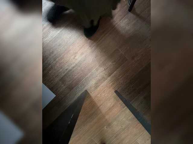 Live трансляция LustySass - slutnetki.online