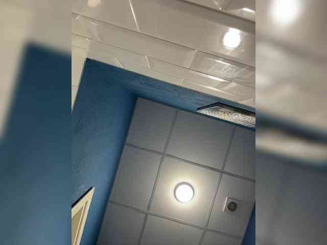 LustySass webcam