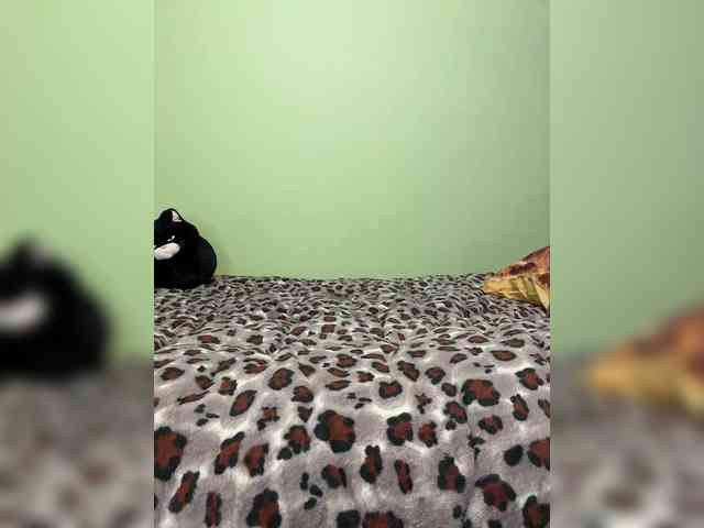 LustySass webcam