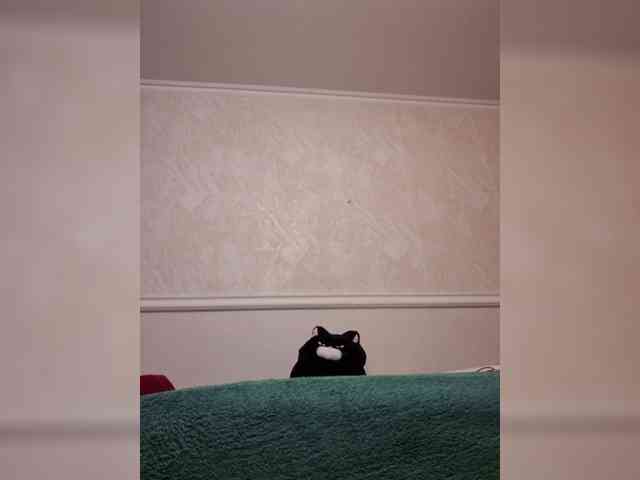 LustySass webcam