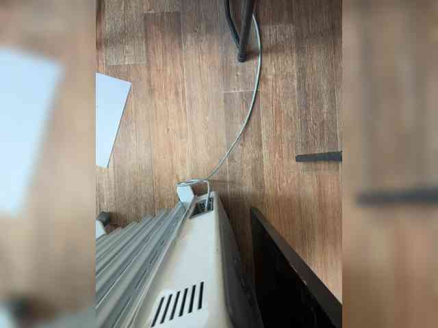 LustySass webcam
