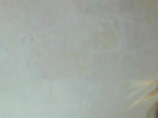 MelMooon