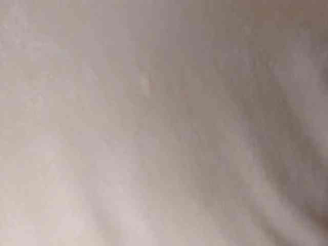 MelMooon webcam