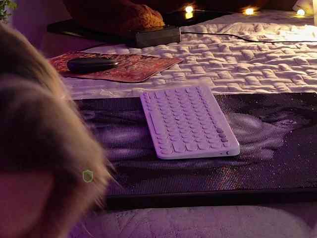 Kocmoc_Katerina webcam