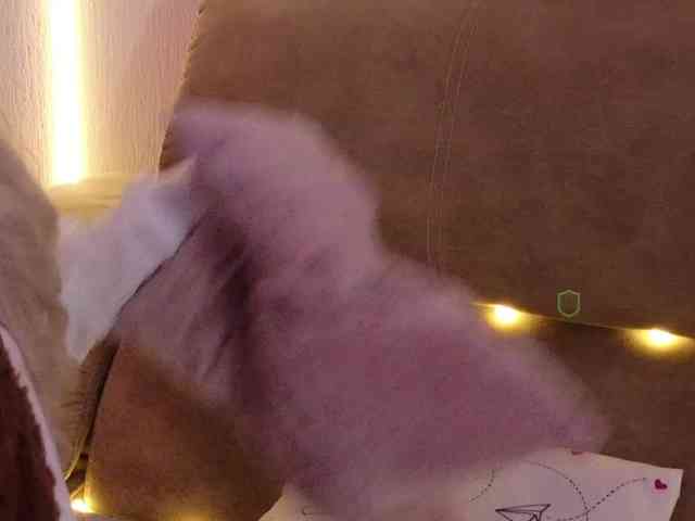 Kocmoc_Katerina webcam