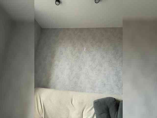 apple15promax webcam