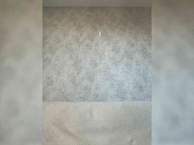 apple15promax webcam
