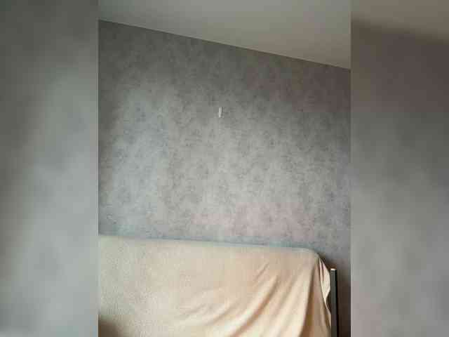 apple15promax webcam