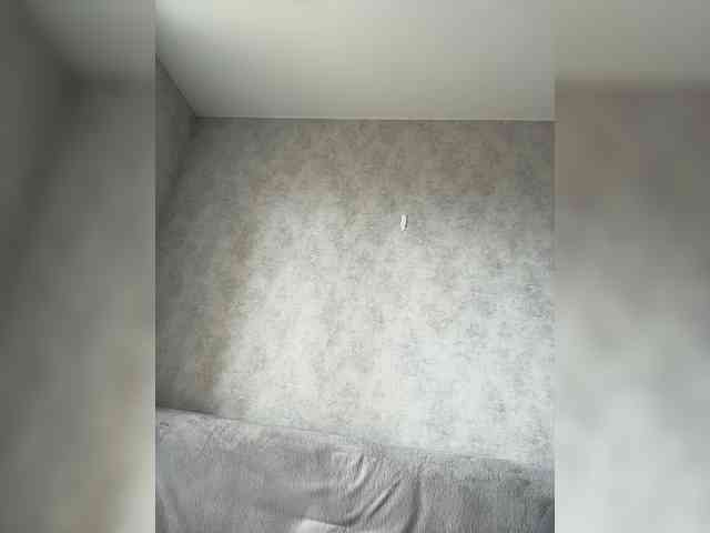 apple15promax webcam