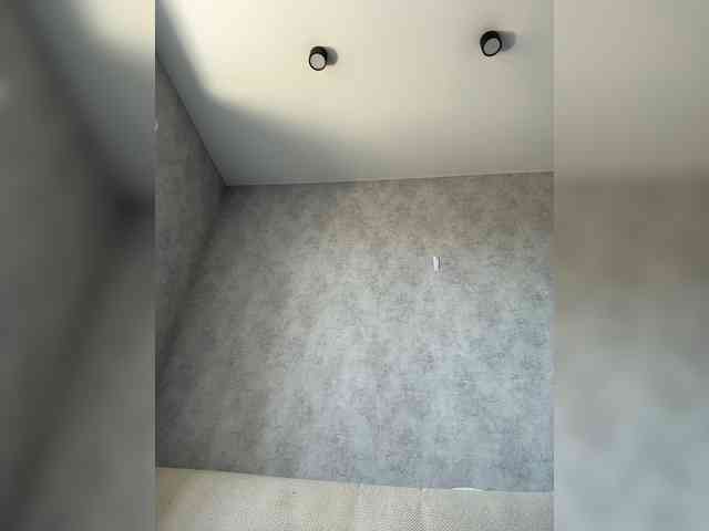 apple15promax webcam
