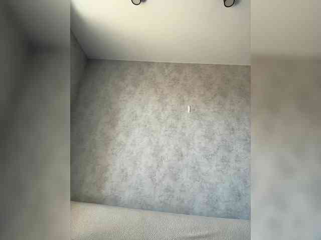 apple15promax webcam