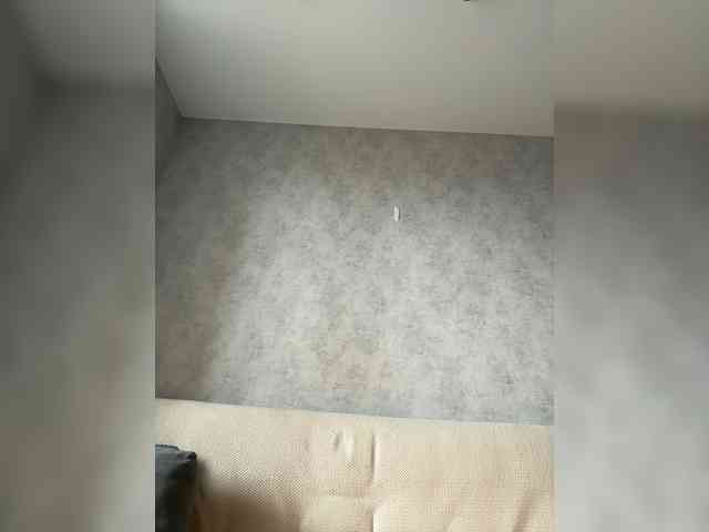 apple15promax webcam