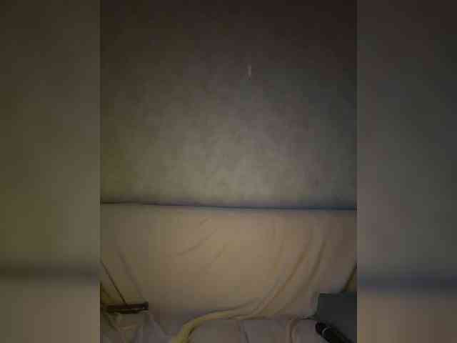 apple15promax webcam