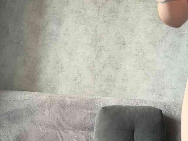 apple15promax webcam