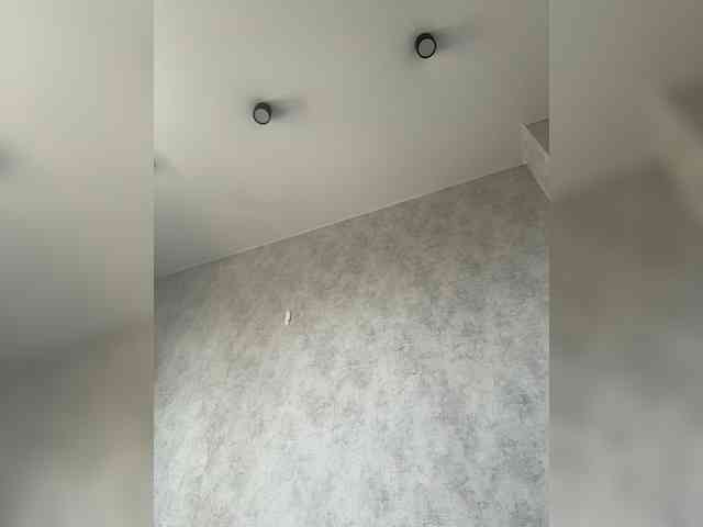 apple15promax webcam
