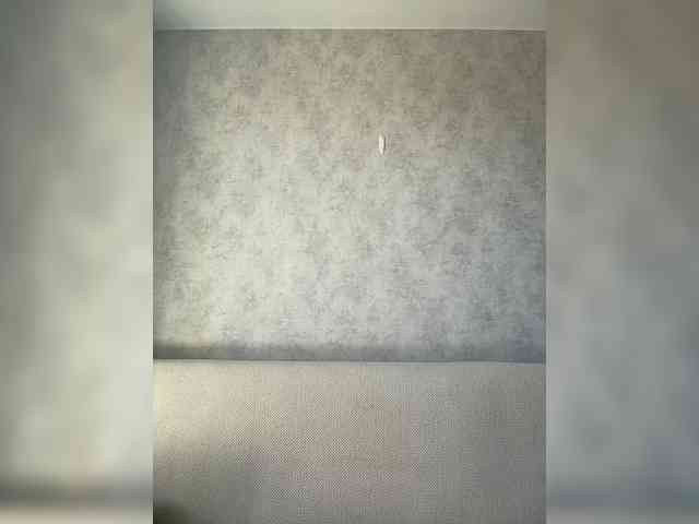 apple15promax webcam