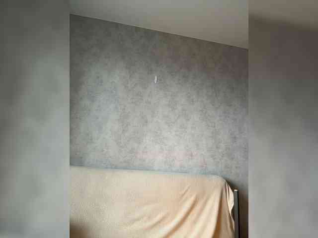 apple15promax webcam