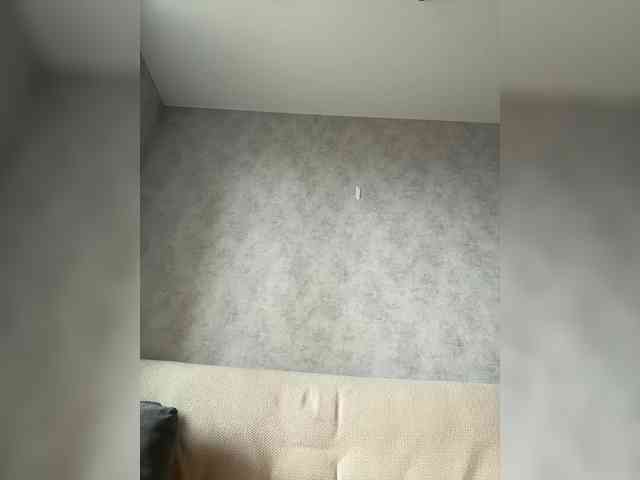 apple15promax webcam