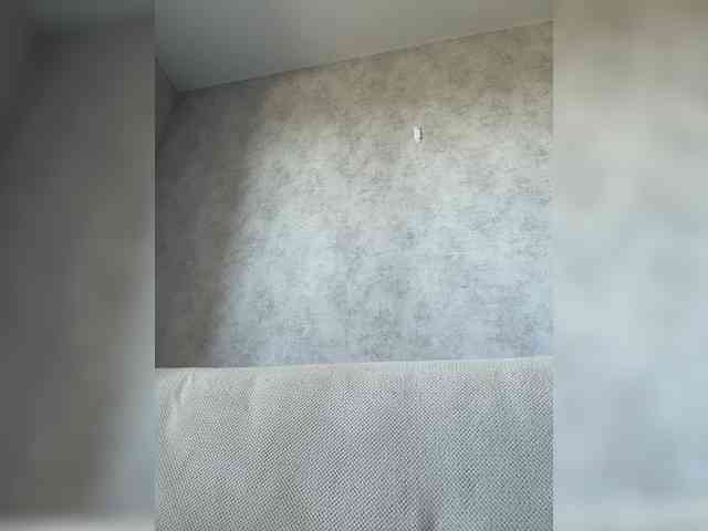 apple15promax webcam