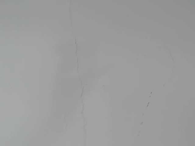 KarlieK live cam on BongaCams