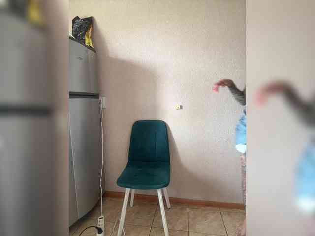 Gospajaa