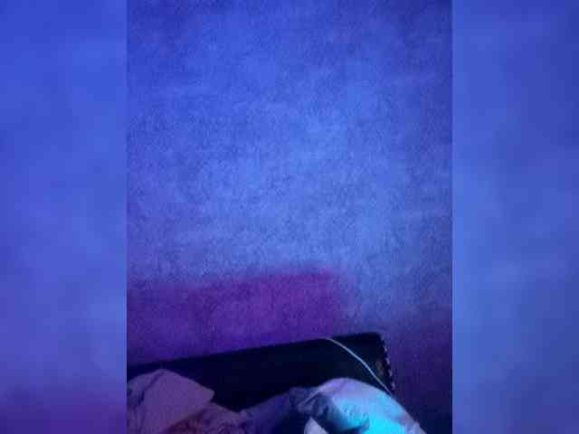 Neulovimie webcam