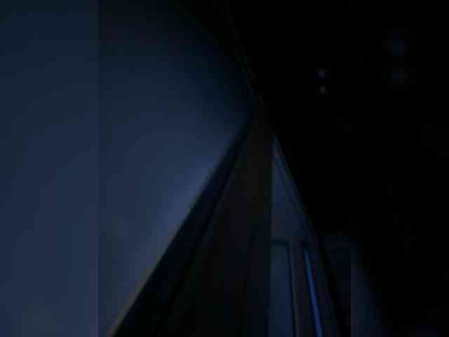 Neulovimie webcam