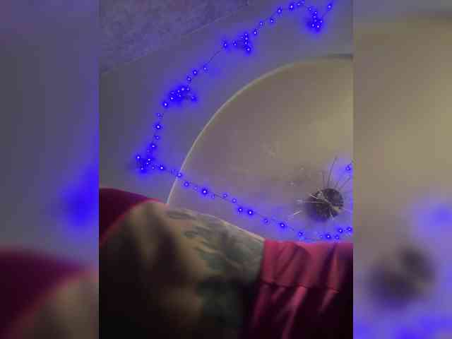 Neulovimie webcam