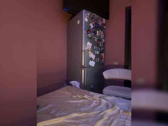 Neulovimie webcam