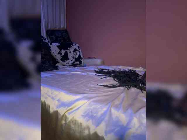 Neulovimie webcam