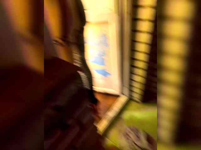 Neulovimie webcam