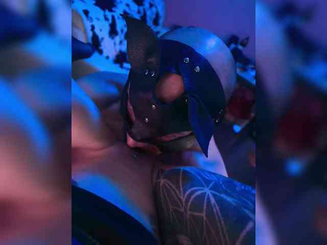 Neulovimie webcam