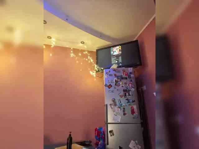 Neulovimie webcam