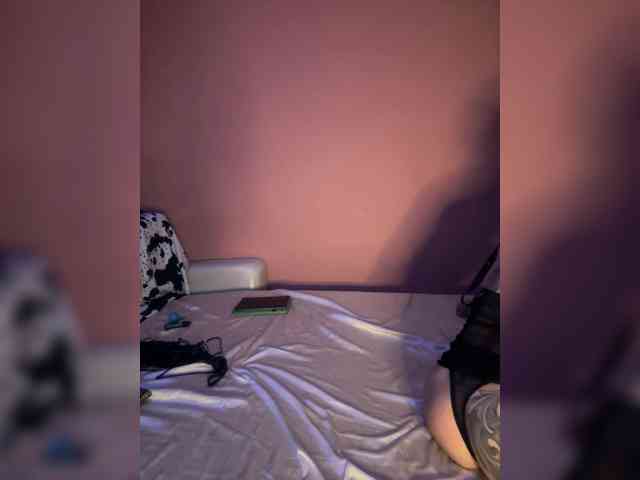 Neulovimie webcam