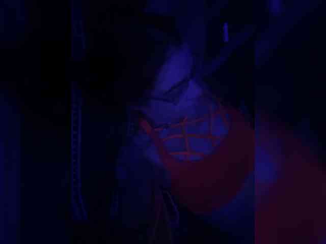 Neulovimie webcam