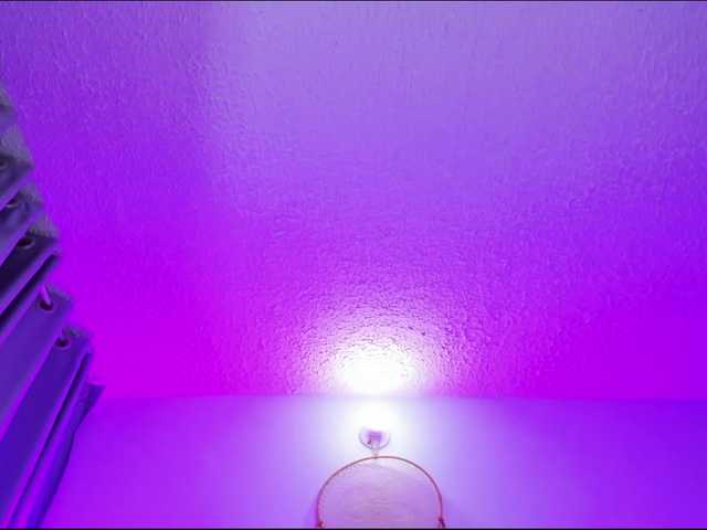 Deny-rose