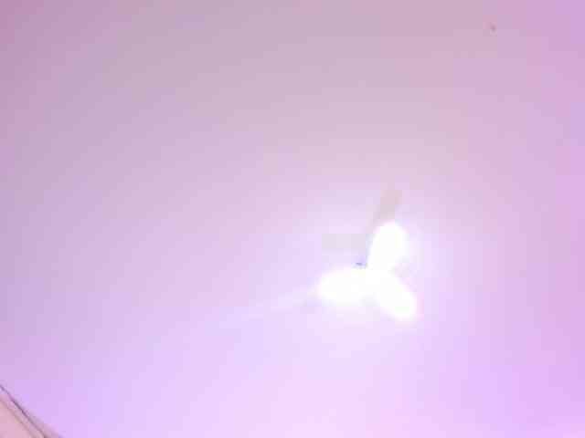 Deny-rose webcam