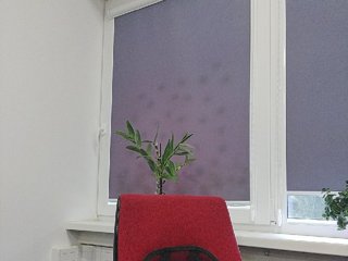 BESTija-1 Porn Show