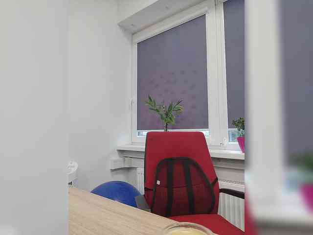 BESTija-1 webcam