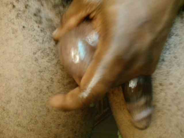 Taak_Diick