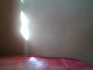 Beexy