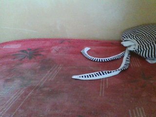 Beexy's Live Webcam